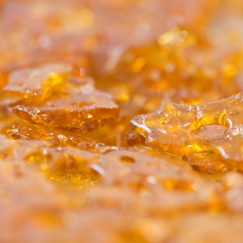 Macro detail of cannabis oil concentrate aka shatter used by medical marijuana patients